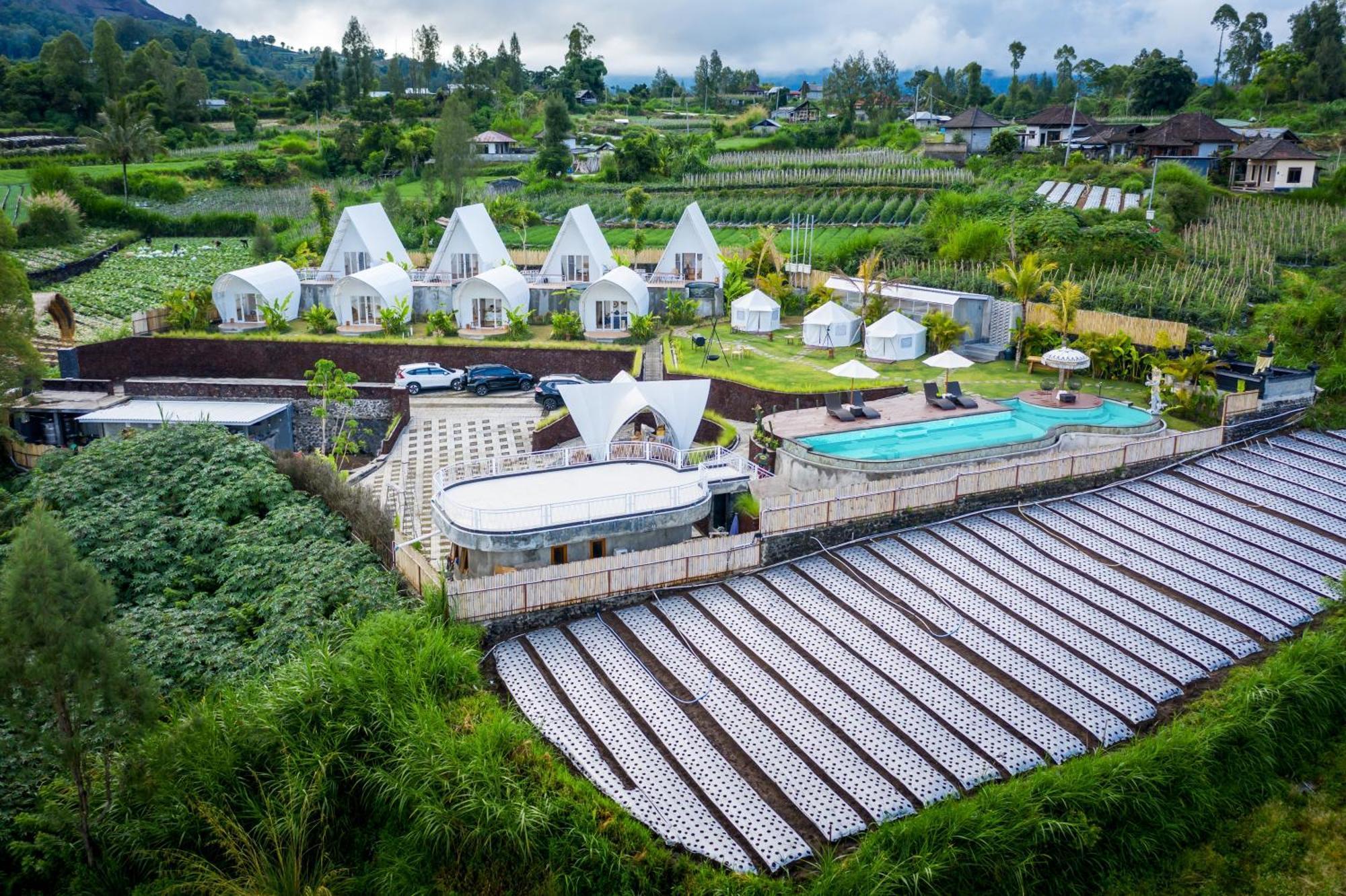 The Dewi Kintamani Luxury Glamping And Natural Hotspring Eksteriør billede
